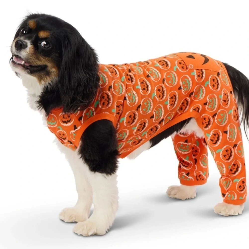 NWT Halloween pumpkin dog pajamas L